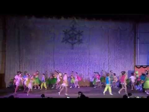 Видео: НССХ Элегия г . Макеевка "Волшебный сад" - 2015 г.