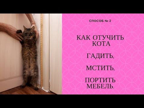Видео: Как отучить кота гадить,мстить,портить мебель  Способ 2