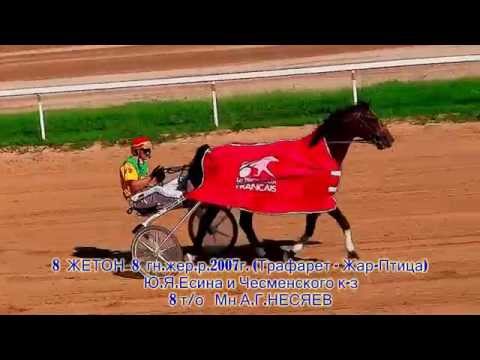 Видео: ЦМИ Ипподром Дни Франции Часть 20 Сезон 2015