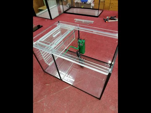 Видео: Родильное отделение для живородящих рыб без потерь малька!