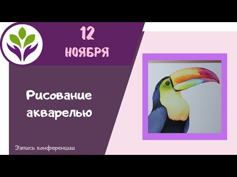 Видео: Желтоклювый Тукан  ▶ Рисование акварелью