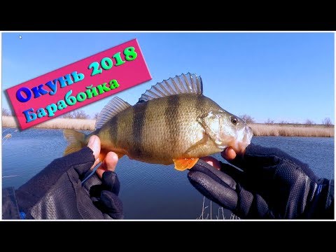 Видео: Дроп-шот vs Отводной. Первый окунь 2018. Барабойка.