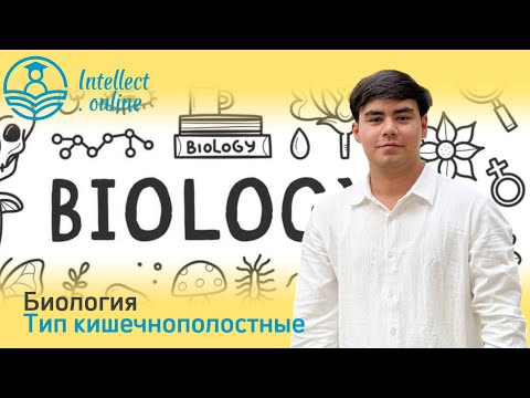 Видео: Биология | Тип кишечнополостные