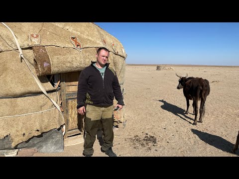 Видео: Как живут Узбекские Казахи! В поисках Бешбармака! Узбекистан!