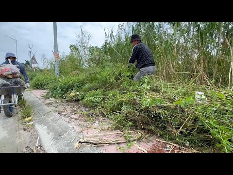 Видео: Экстремальная уборка тротуаров! Удаление заросшей травы и мусора
