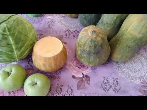 Видео: КИТАЙСКИЙ РОЗАЛАРИМ КАЙ АХВОЛДА, АНЧА УЗИГА КЕП КОЛДИ 🌹🥀🌺🌿🍁🍂🍃ДАВОМИ