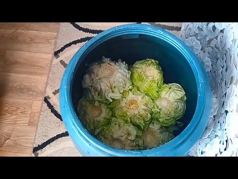 Видео: Как се прави кисело зеле в бидон-моята рецепта - част 1