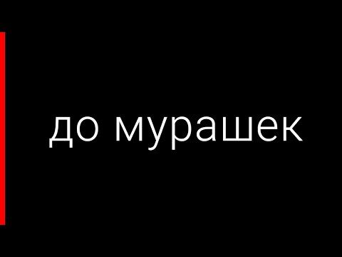 Видео: Cлушать, как любит мужчина?  #стихи