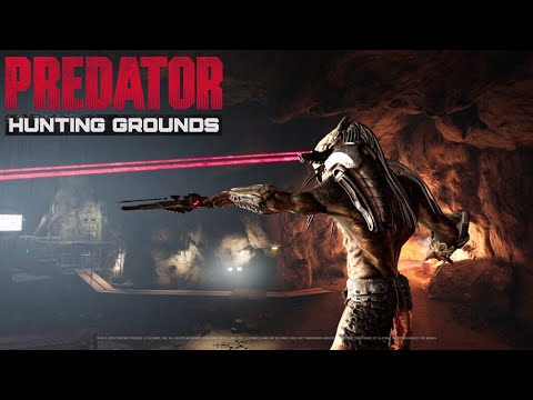 Видео: Vertical Stream  Predator :Hunting Grounds Выживаем в джунглях ☠💀😬  #predatorhuntinggrounds  #shorts