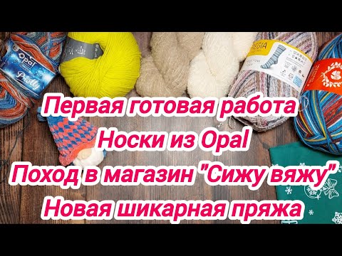 Видео: Вяжу носки из Opal. Первая готовая работа Поход в магазин "Сижу вяжу". Шикарная пряжа. Итоги и планы