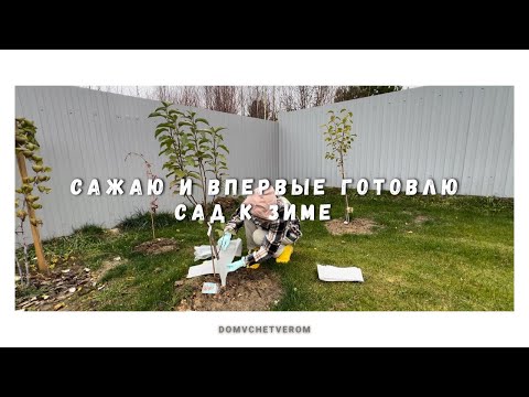 Видео: тихая осень за городом 🌲  | укрытие и защита сада на зиму | уход за комнатными и маленькие радости 🧺