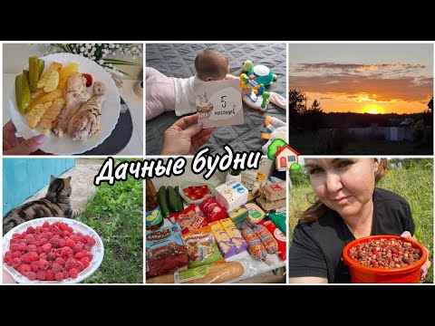 Видео: Миленочке 5 месяцев 💕 Дачные будни.🏡 Насобирала ягод🥰