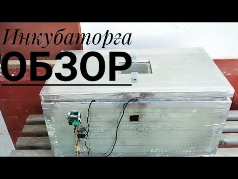 Видео: Қолдан жасалған инкубатор. Обзор.