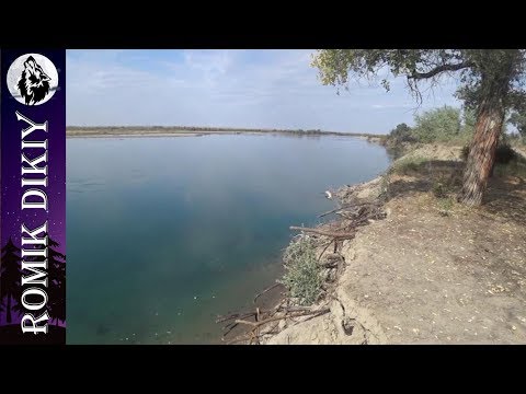 Видео: Отчет с р.Или. Судак, жерех. (22-23 Сентября 2018г.)