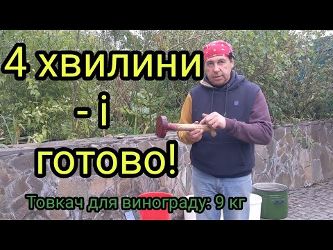 Видео: Ідеальний товкач для винограду. Жодних втрат часу!