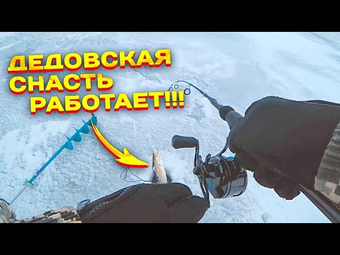 Видео: ДА СКОЛЬКО ЖЕ ЕГО ТАМ??? РЫБАЛКА НА ВОЛГЕ НА СУДАКА!