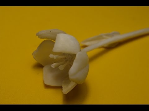 Видео: Резьба по кости. "Аленький цветочек"