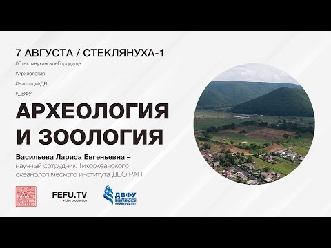 Видео: Лекция "Археология и зоология"