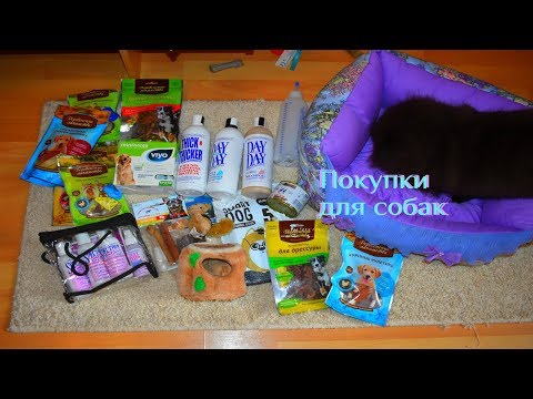 Видео: ПОКУПКИ ИЗ ЗООМАГАЗИНА ДЛЯ СОБАК /ДЛЯ ШПИЦА