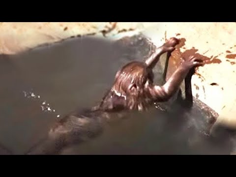 Видео: Рыбак снял то, что шокировало всех!