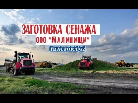 Видео: Техника на заготовке сенажа