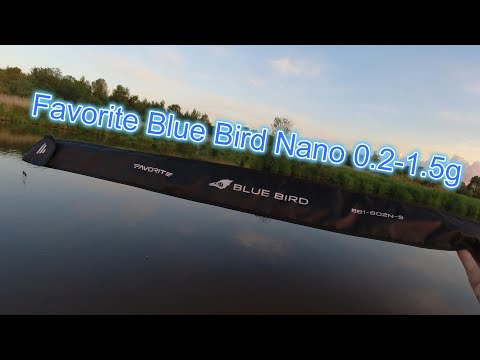 Видео: #мормышинг |Спиннинг Favorite Blue Bird Nano 602N-S 0.2-1.5g