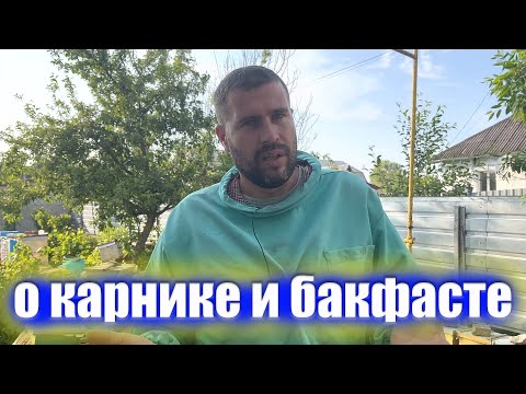 Видео: Бакфаст и карник