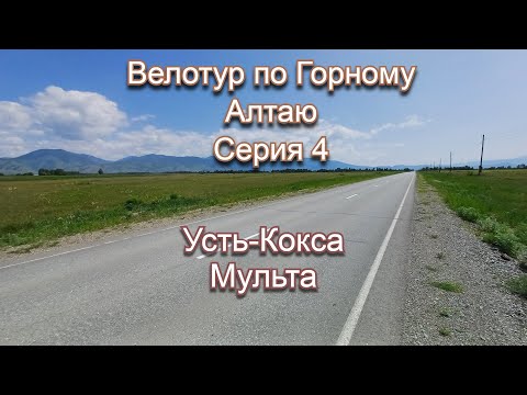 Видео: Велотур по Горному Алтаю 2025. Серия 4. Усть-Кокса, мульта.