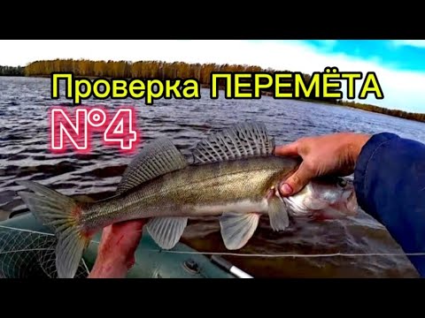 Видео: Проверка ПЕРЕМЁТА N°4