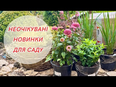 Видео: Нові рослини для квітучого саду! Розпаковка та перші враження!