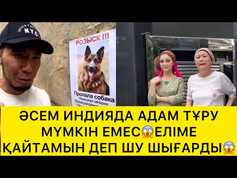 Видео: ӘСЕМ ИНДИЯ АДАМ ТҰРУ МҮМКІН ЕМЕС😱