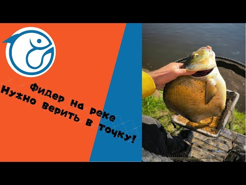 Видео: Большие лещи! Главное верить в выбранную точку. Рыбалка на фидер на реке!