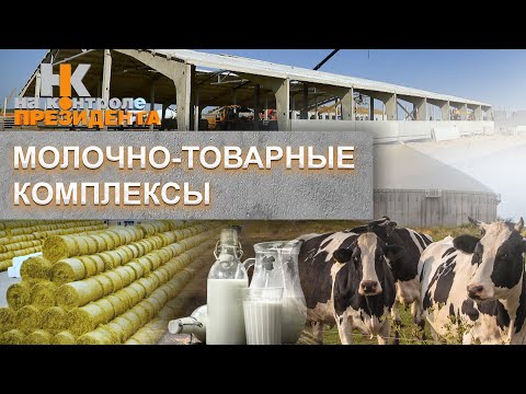 Видео: Молочно-товарные комплексы | Содержание коров | Белорусская молочка. На контроле Президента