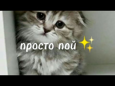 Видео: просто пой. Из тик тока✨💜