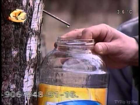 Видео: Галилео 18 серия