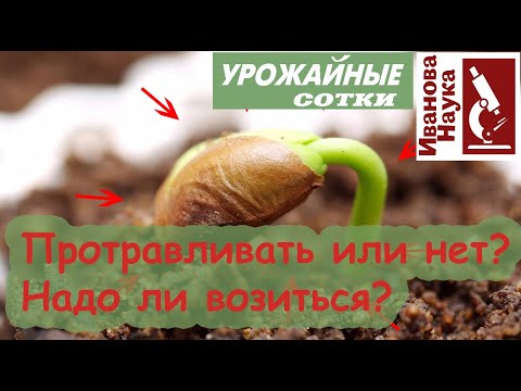 Видео: Лучше протравите! Какие семена протравливать обязательно, И, главное, чем лучше протравить?