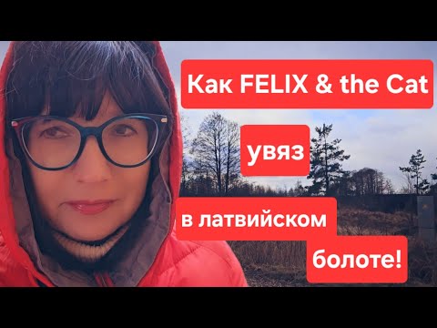 Видео: Юрмала.Около болота тоже хорошо!