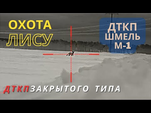 Видео: Охота на лису с тепловизором. Дткп Шмель М-1 ar-15 223 rem. выстьрел на 440 м. Тепловизор для авто