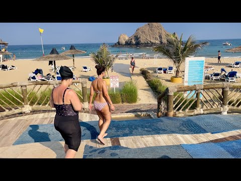 Видео: Отдых в UAE отель Sandy Beach Resort,черепахи,море,пляж,еда,безграничный кайф