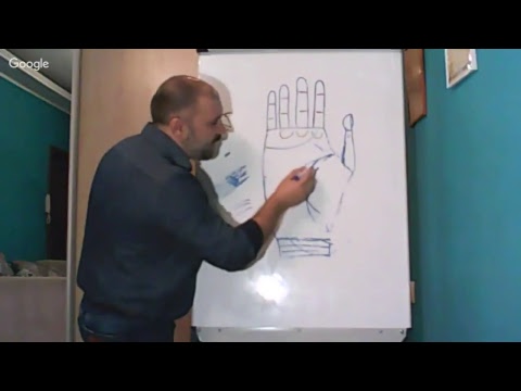 Видео: Хиромантия.Урок 7. BASIC. Группа 3/18. Линия Жизни. Знаки. Школа пространственной хиромантии.