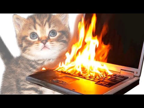 Видео: 5000 ПРИЧИН УДАЛИТЬ КОМПЬЮТЕР