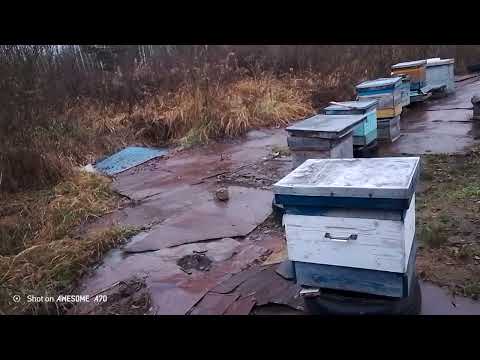 Видео: Кого пора об'единять....