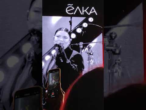 Видео: Ёлка Прованс Алматы Казахстан 🇰🇿. harvest fest 2025.