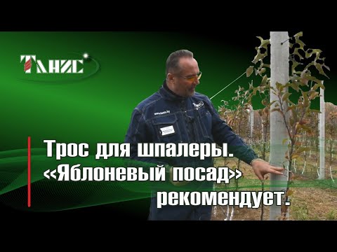 Видео: 32. Как мы "Яблоневый посад" по тросу для шпалеры марки ПРШ инспектировали. Отзыв реальных садоводов
