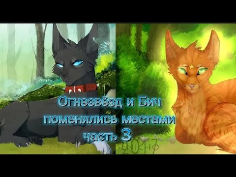 Видео: Другая история Огнезвёзд или Огнезвёзд и Бич поменялись местами//Бич/Огнезвёзд//Котывоители//теория