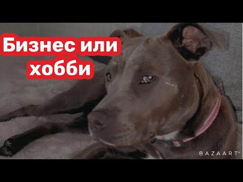 Видео: Увеличили пространство щенкам/хобби или бизнес /как стать полноценным заводчиком