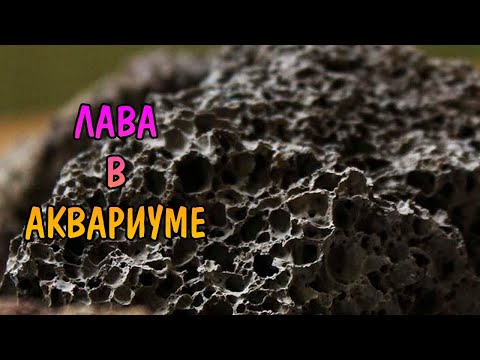 Видео: ЛАВА В АКВАРИУМЕ