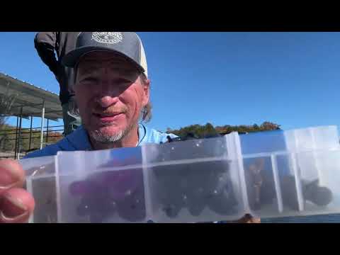 Видео: Как лучше всего работает червяк размером в один дюйм!