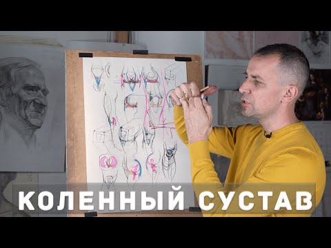 Видео: Коленный сустав - А. Рыжкин