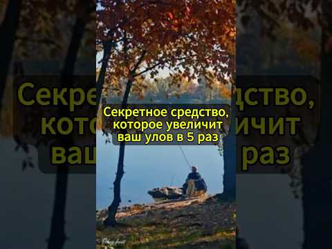 Видео: Это средство увеличит ваш улов в 5 раз #рыбалка #карась #рыболовная